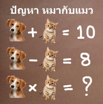 puzzle ปัญหาเชาว์[