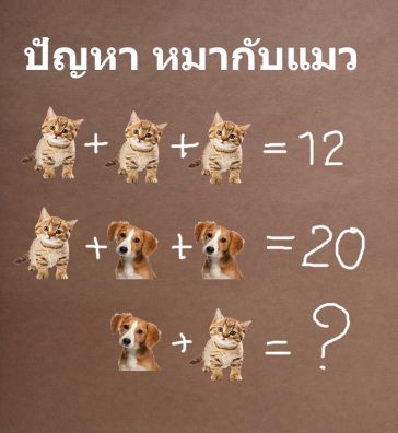 puzzle-dog-cat-47